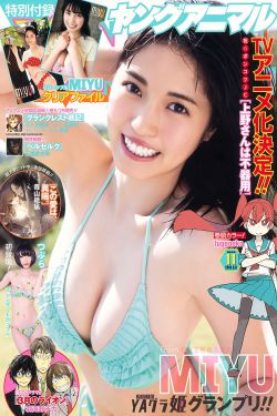 小米内测申请答题答案